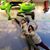 Katia Minette Olmeda-Rosa's profile image