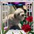 Rose Aranda's profile image