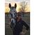 Emily Pugh's profile image