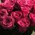 Shelly Dailey's profile image