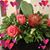 Maria C. Lundez's profile image