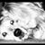Victoria Louise's profile image