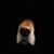 Pamela Sawyer's profile image
