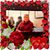 Kim Meservey's profile image