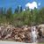 Susan Wheeler Relaford's profile image