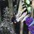 Angela Potts Allen's profile image