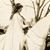 Shari Welsh's profile image