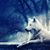 Alex Gutshall's profile image