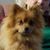 Joyce DeLapp Menhennett's profile image