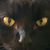 Marc G. Eddy's profile image