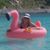 Cathy Anderson's profile image