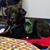 Linda Giese's profile image