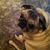 Suzanne Abbe's profile image