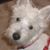 Karen Morgan's profile image