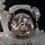 Greg Abbott's profile image