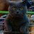 Jose Vasquez's profile image