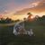 Nikki Pinto Caceres's profile image