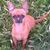 Leslyn Walter Hester's profile image