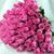 Sherry Scoggins's profile image