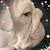 Wanda Shamblin Oldham's profile image