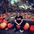 Garrison Erickson's profile image