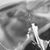 Kristy Marie Allison's profile image