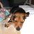 Ruth Bayless's profile image
