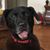 Barbara Burke Swift's profile image
