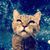Tom Atwood's profile image