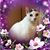 Vicki Troutman's profile image