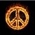 Dana Bradford's profile image