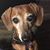 Beverly Cunningham's profile image