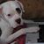 Ken Huddleston's profile image