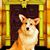 Linda Reed's profile image