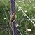 Tammy Melton Hodges's profile image