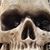 Bruce Winstanley's profile image