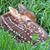 Debbie Carter's profile image