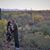 Kelly Vanlandingham's profile image