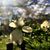 Wende Parker's profile image