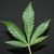 Stephen M Price's profile image