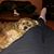 Kathy McGarrity Hoeppner's profile image
