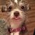Lori Lackey Baker's profile image