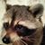 Michael Schenek's profile image