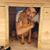 Alberto Campos's profile image