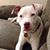 Lisa Giordano Andrus's profile image