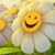 Shruti Gupta's profile image