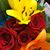 Rosa Claudio's profile image