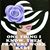 Kimmie Owens's profile image