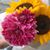 Julie Marie's profile image