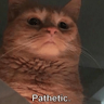 Kendall D.'s profile image